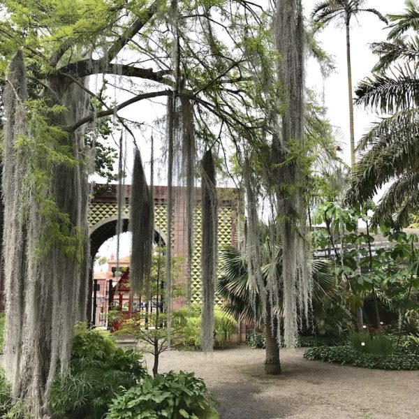 Blick auf den Eingang zum Jardin Botanico in Puerto Cruz