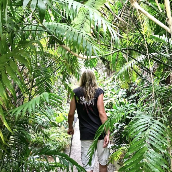 Der Jardin Botanico in Puerto de la Cruz bietet dir ein tropisches Ambiente