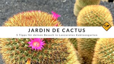 Jardín de Cactus – 4 Tipps für Lanzarotes Kaktusgarten