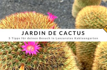 Jardín de Cactus – 4 Tipps für Lanzarotes Kaktusgarten