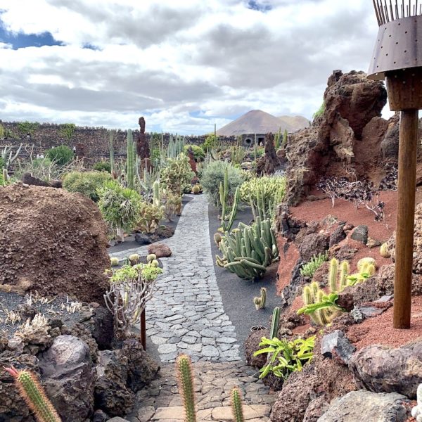 Jardín de Cactus Lanzarote Besuchszeit