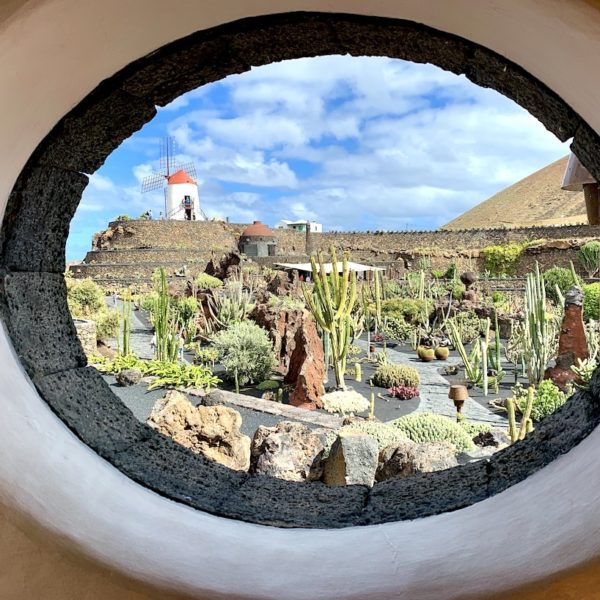 Jardín de Cactus Lanzarote Fenster Kakteen Muehle