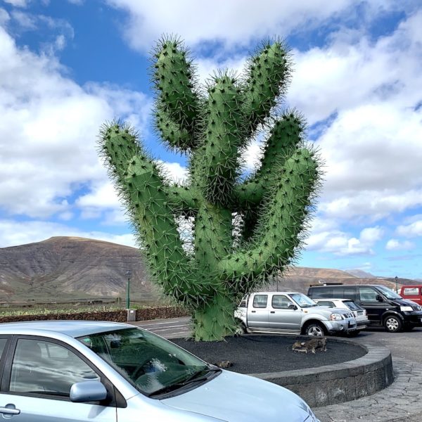 Jardín de Cactus Lanzarote Parkplatz
