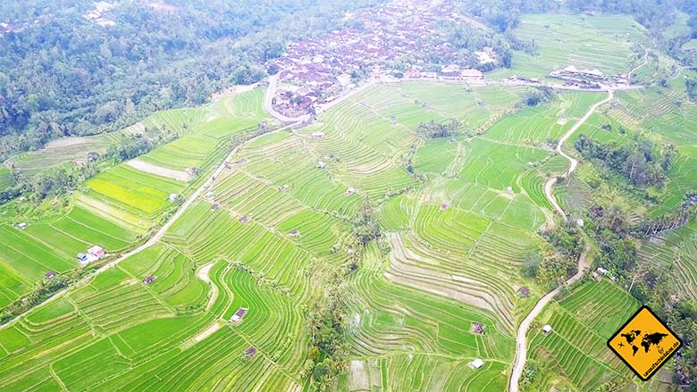 Jatiluwih Reisterrassen Bali 300 Hektar