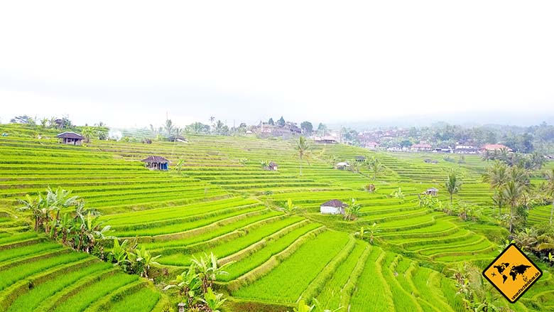 Jatiluwih Reisterrassen Bali Ausrichtung