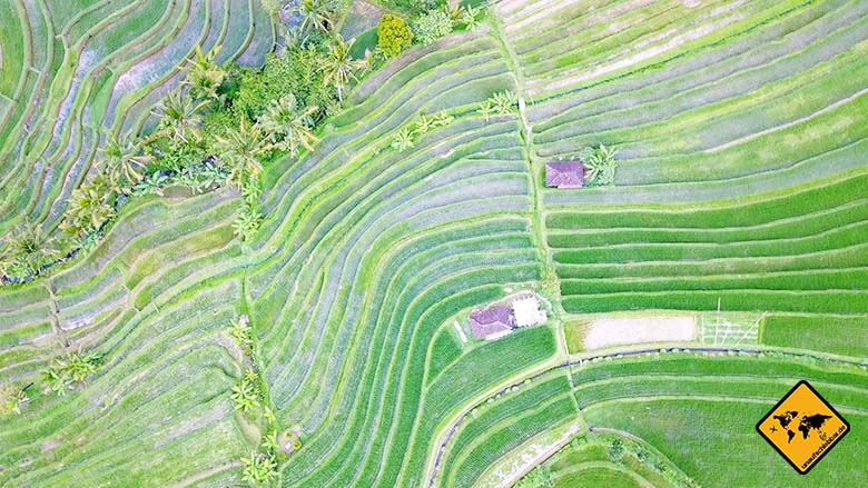 Jatiluwih Reisterrassen Bali Subak Bewässerung