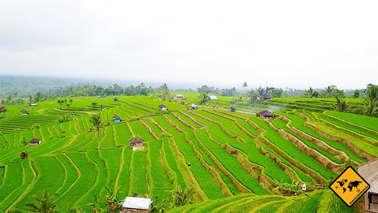 Jatiluwih Reisterrassen Bali Trekking