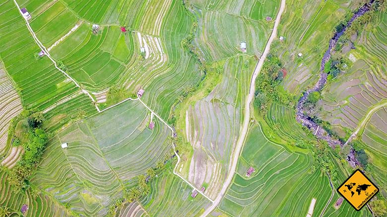 Jatiluwih Reisterrassen Bali Vogelperspektive