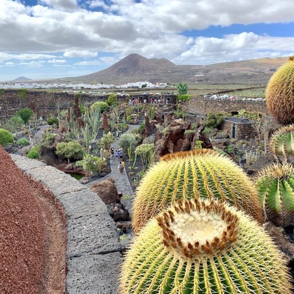 Kakteengarten Lanzarote
