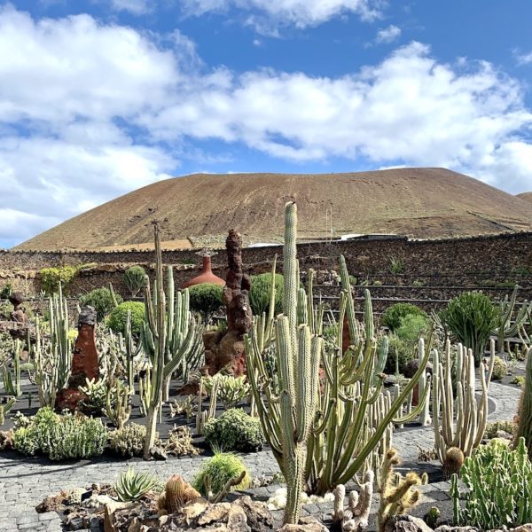 Kakteengarten Lanzarote Wege
