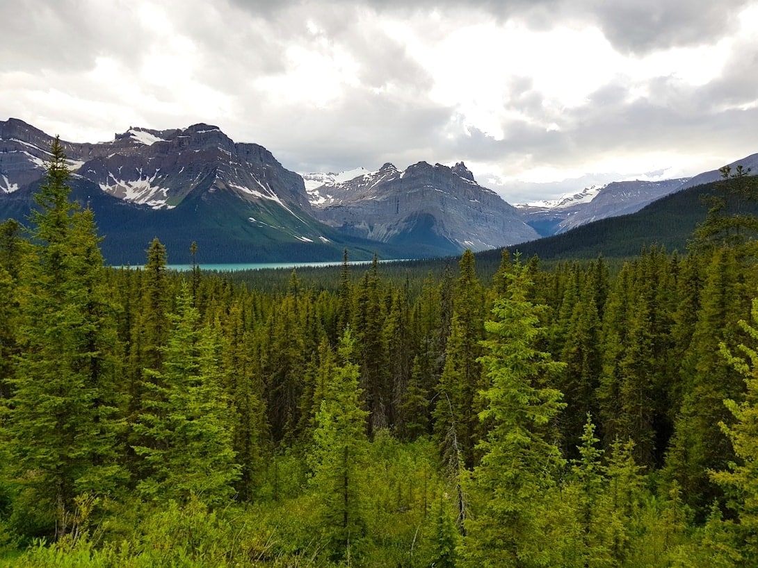 Kanada Rocky Mountains Icefield Parkway Banff