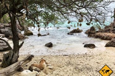 Koh Larn Thailand – türkis-blaue Traumstrände vor Pattaya