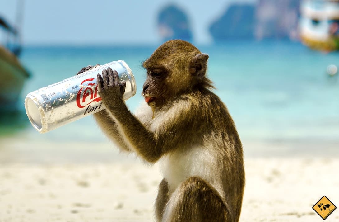 Koh Phi Phi Müllproblem