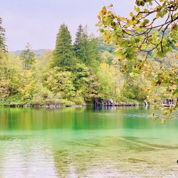 Kozjak See grün