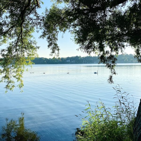 Küchensee Ausblick Kurpark