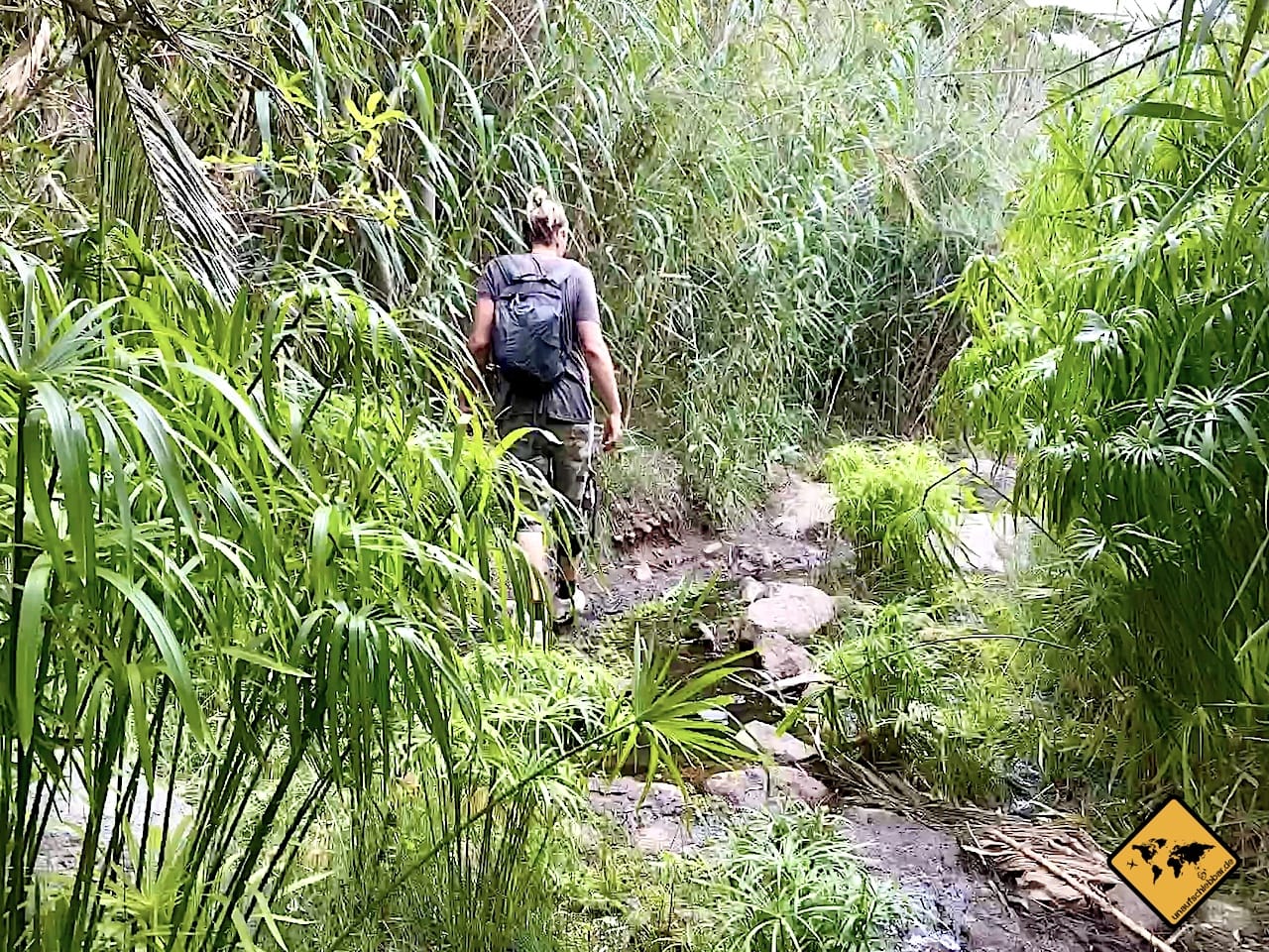 La Gomera wandern Valle Gran Rey Barranco de Arure