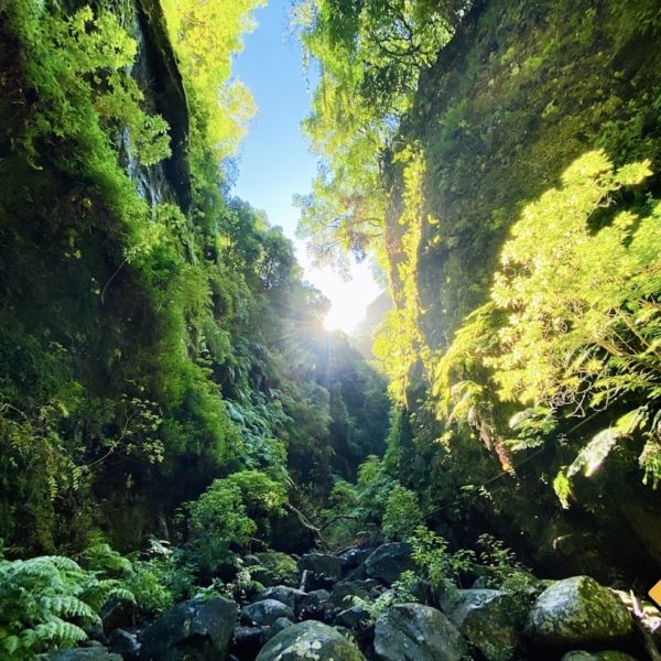La Palma Barranco del Agua