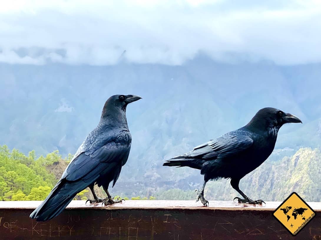 La Palma Sehenswürdigkeiten Mirador de la Cumbrecita Raben Wolken-Wasserfall