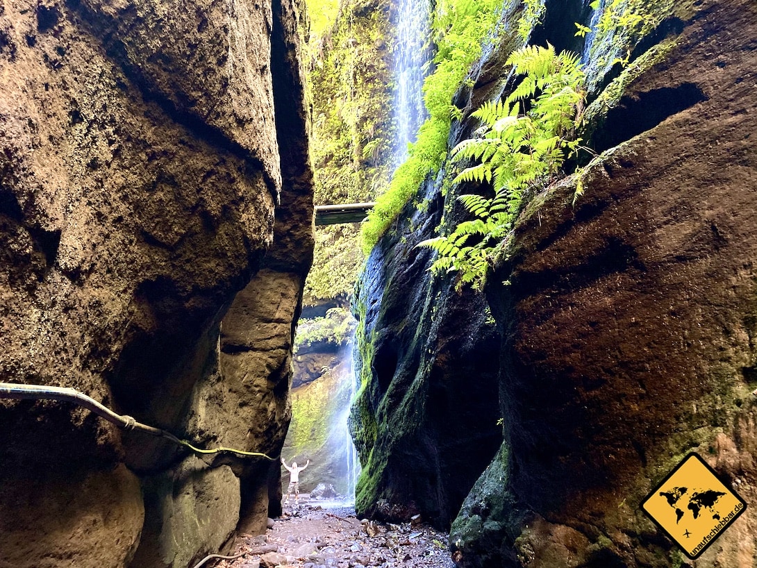 La Palma Wasserfall Los Tilos Ausflugsziel
