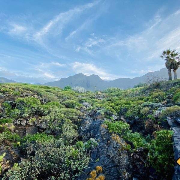 Landschaft Buenavista del Norte West-Teneriffa