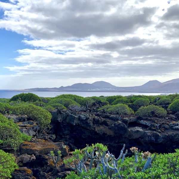 Landschaft Cueva de los Verdes Lanzarote