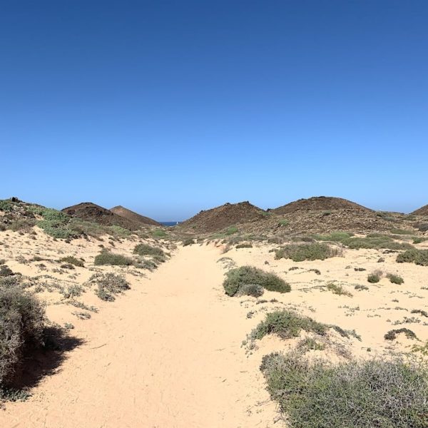 Lanzarote Ausflüge: Isla de Lobos