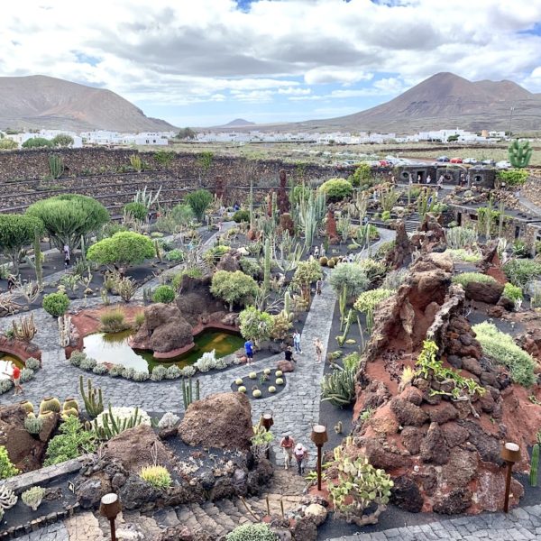 Lanzarote Jardín de Cactus