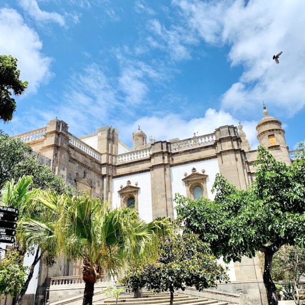 Las Palmas Catedral de Santa Ana