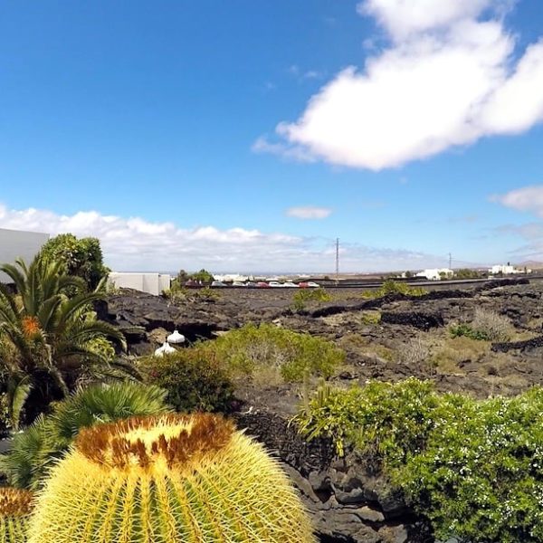 Lavafeld César Manrique Foundation Lanzarote