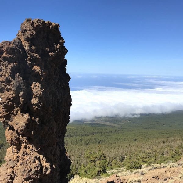 Lavafels Sendero 14 wandern auf Teneriffa