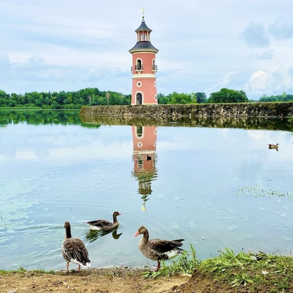 Leuchtturm Moritzburg Gänse