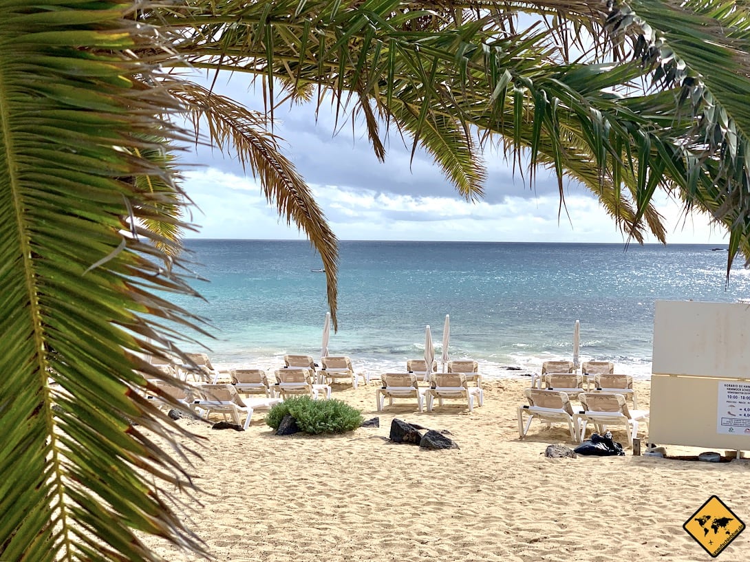 Liegen Strand Palme Costa Teguise Lanzarote