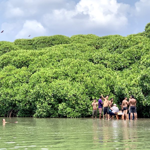 Locals Sri Lanka Negombo Lagune