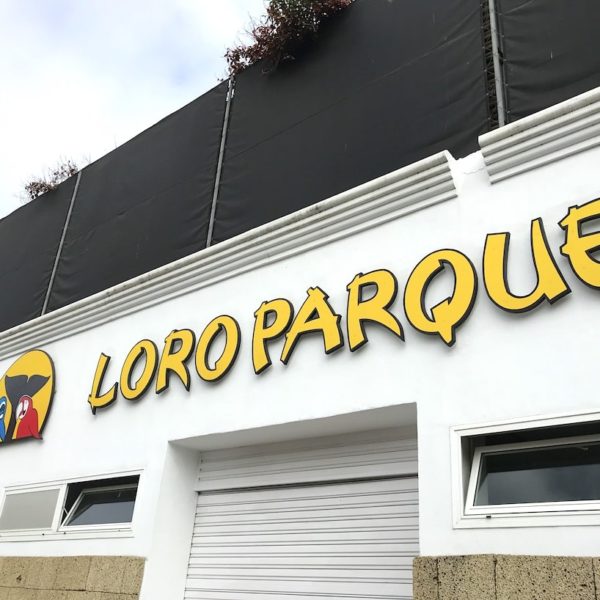 Loro Parque Puerto de la Cruz