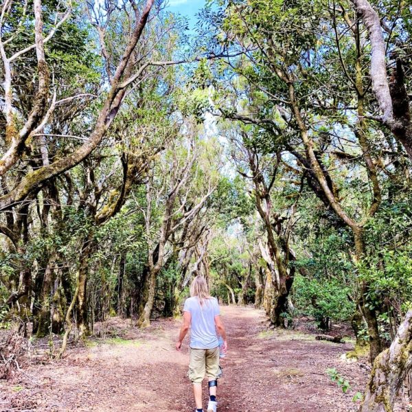 Los Barranquillos Rundwanderung La Gomera
