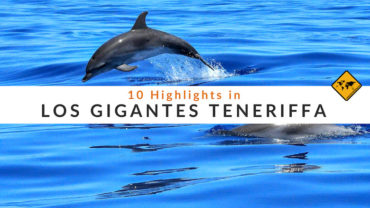 Los Gigantes Teneriffa – 10 Highlights, die du erleben solltest