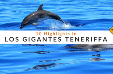 Los Gigantes Teneriffa – 10 Highlights, die du erleben solltest