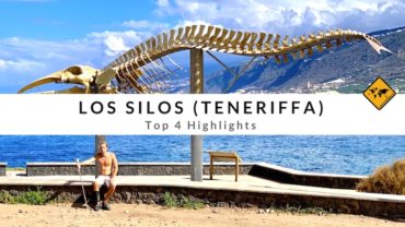 Los Silos (Teneriffa) – Top 4 Highlights: Walskelett und mehr