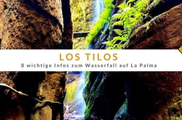 Los Tilos – 8 wichtige Infos zum Wasserfall auf La Palma