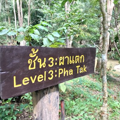 Mae Sa Waterfalls Level 3
