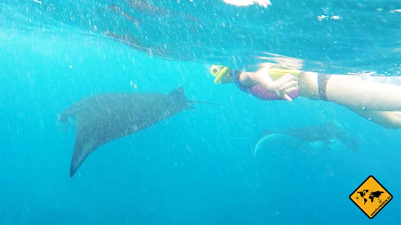 Manta Point Bali Wasseroberfläche