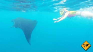 Manta Point Bali – hier siehst du zu 98% Riesen-Mantarochen