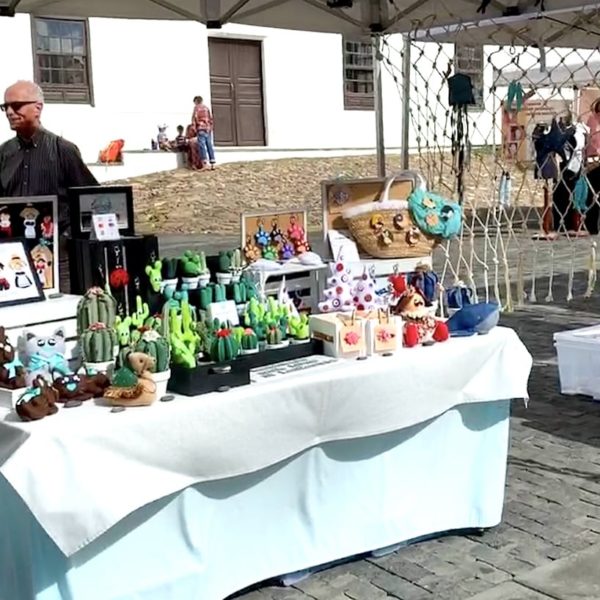 Markt Teguise Lanzarote Stoff Kakteen