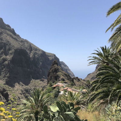 Bei einem Spaziergang durch die Masca Schlucht Teneriffa bieten sich immer wieder schöne Aussichten