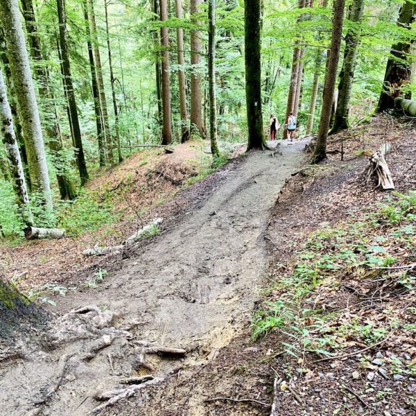 Matschiger Weg Buchenegger Wasserfälle