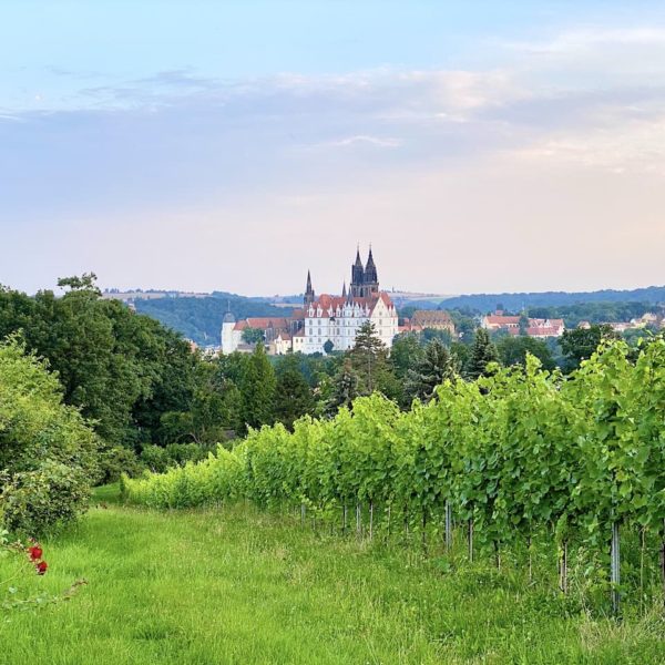 Meißen Sehenswürdigkeiten Boxberg Aussichtspunkt