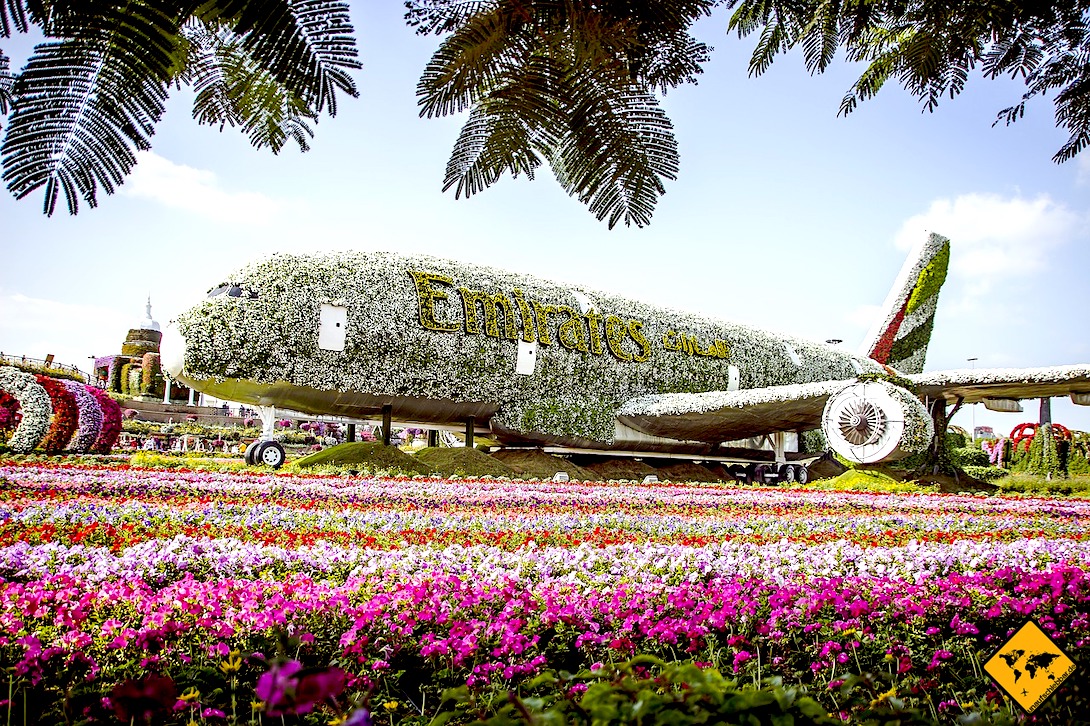 Miracle Garden A380 Blumen Flugzeug