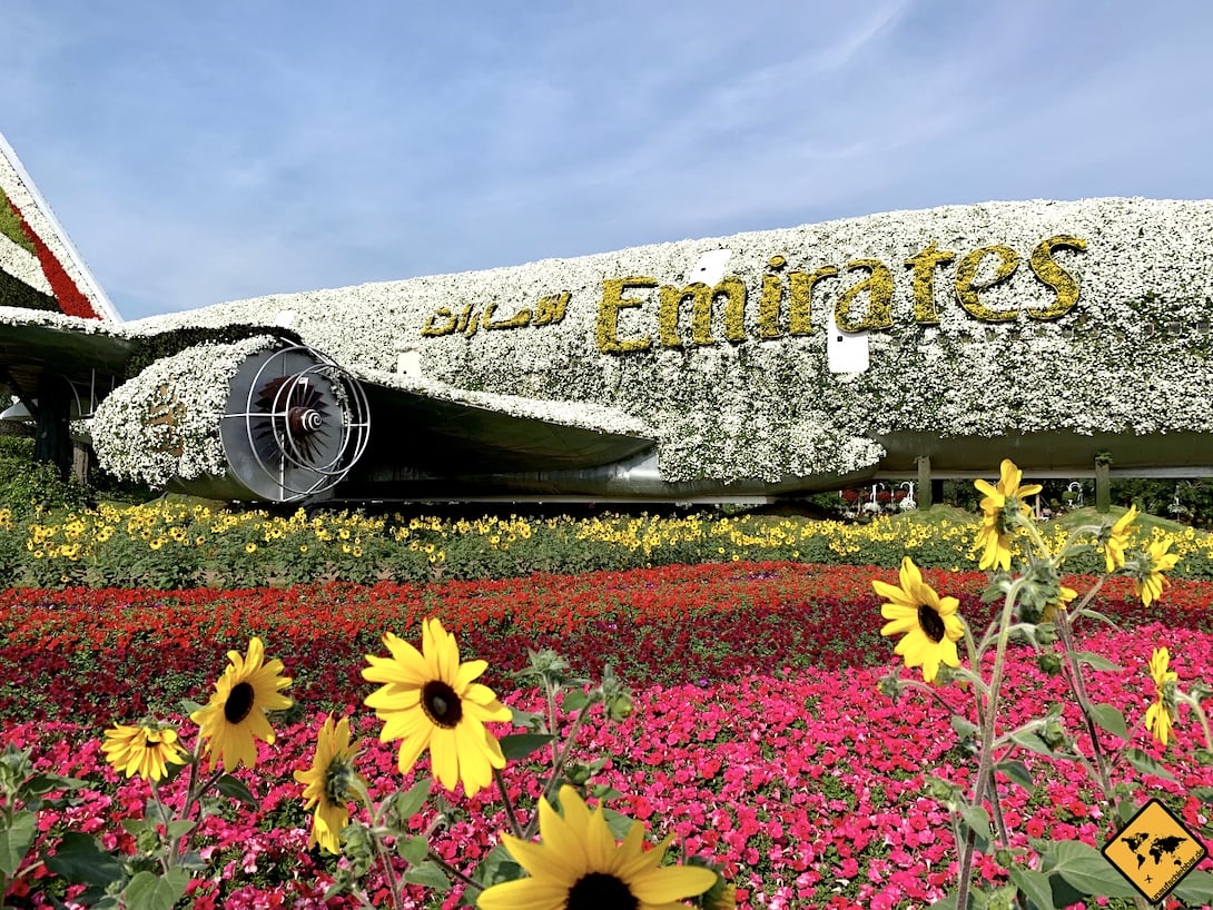 Miracle Garden A380 Emirates