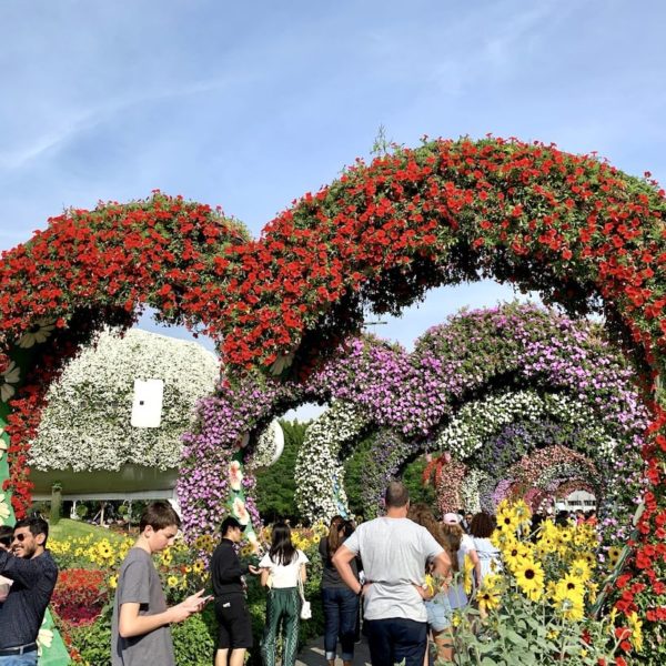 Vor allem am späteren Nachmittag ist das Besucheraufkommen im Miracle Garden besonders hoch