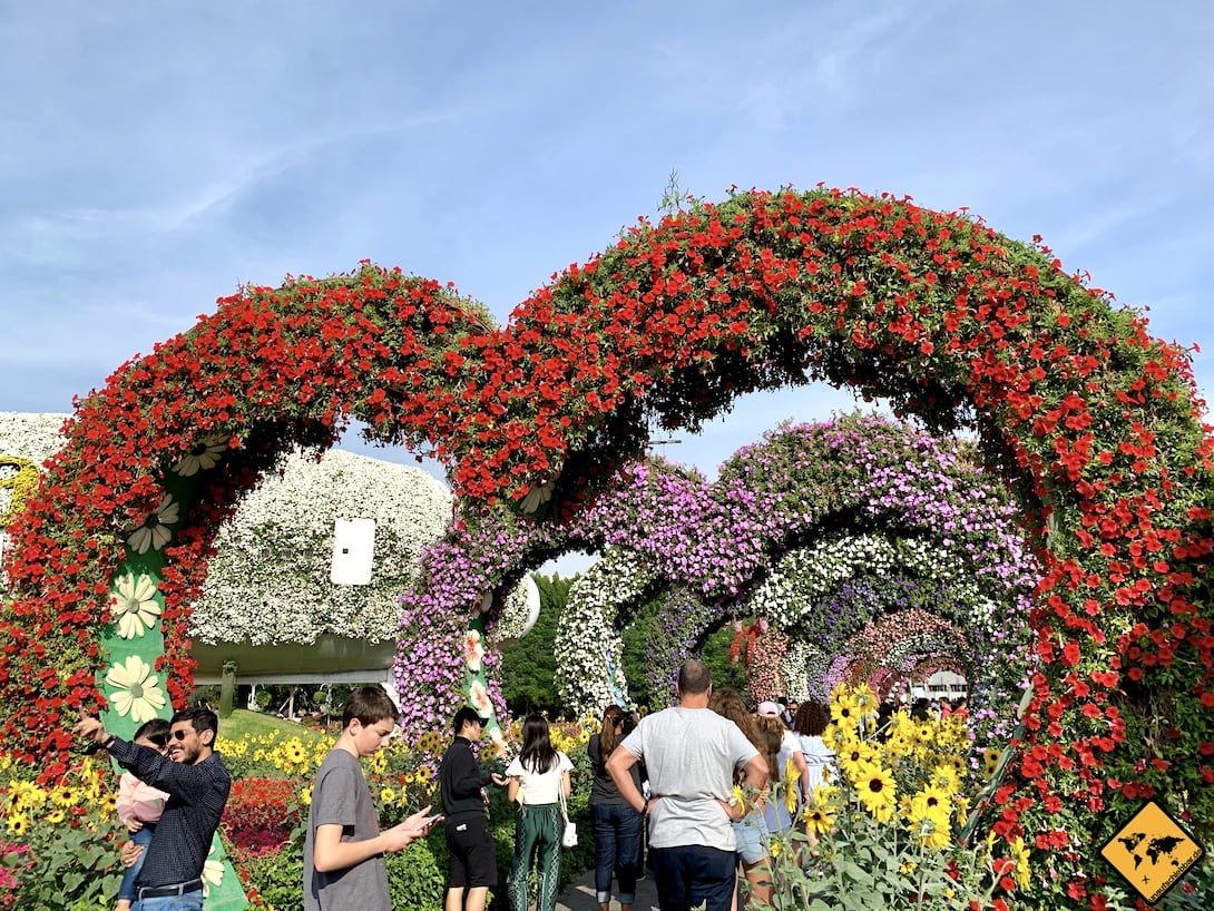 Miracle Garden Dubai 6 Dinge Die Du Vor Deinem Besuch Wissen Musst